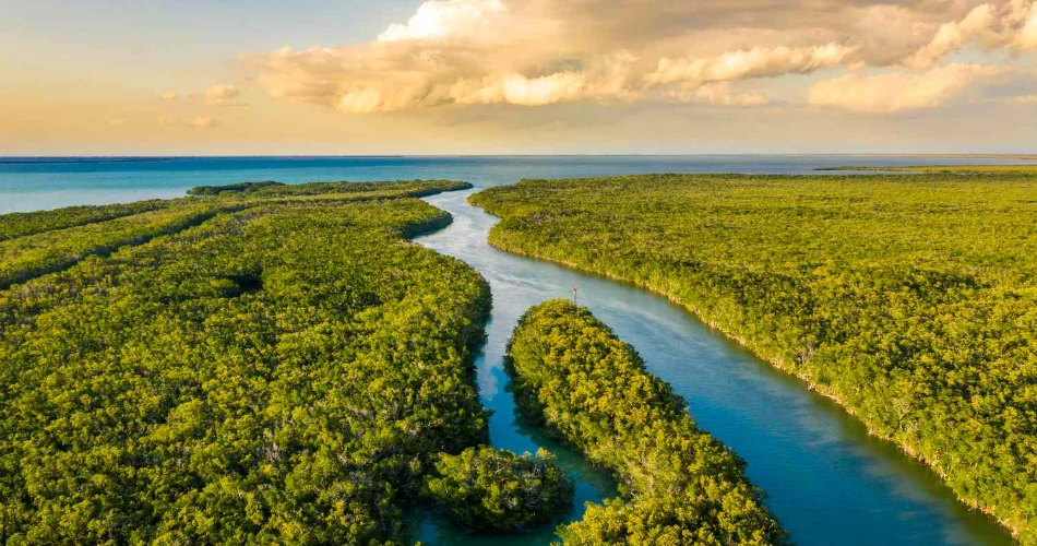 10 Best Miami Attractions