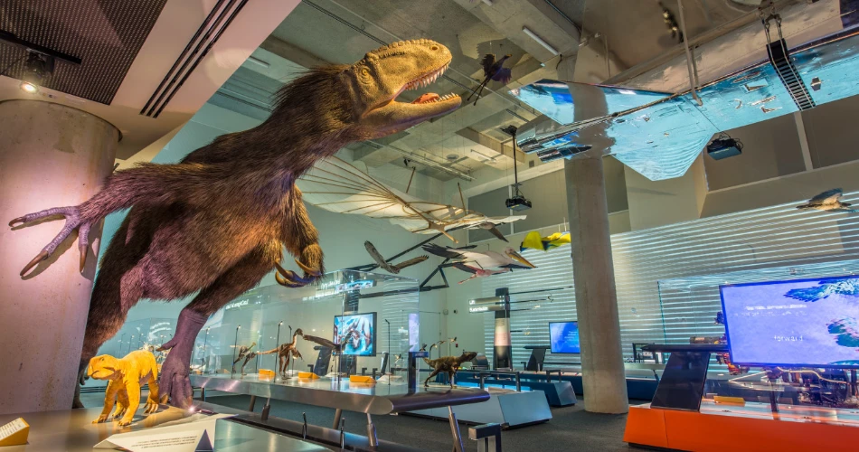 10 Best Miami Attractions