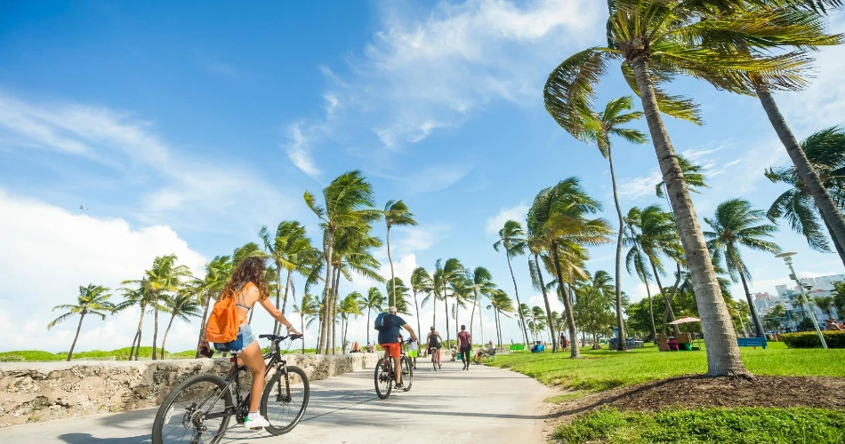 48 Hours in Miami Florida: Top Things to Do & See