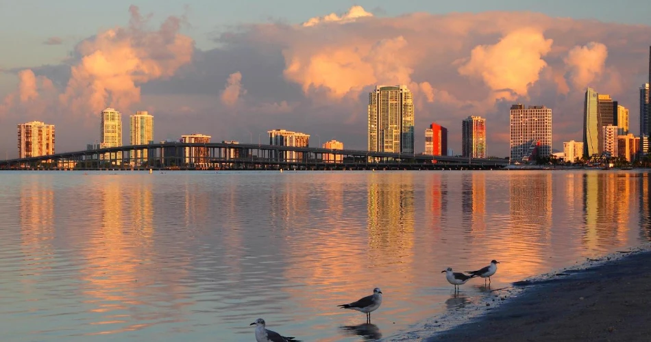 18 Best Beaches in Miami, Florida