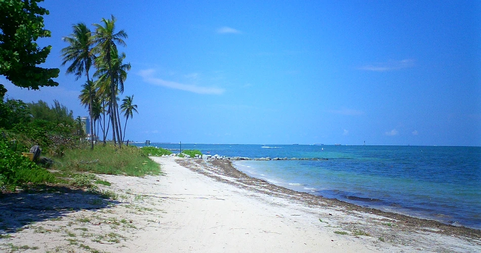18 Best Beaches in Miami, Florida